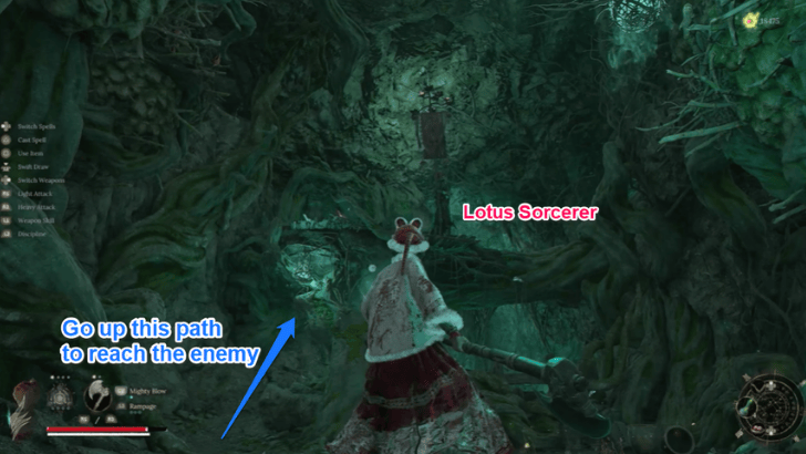 Avian Marsh Cave Path