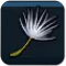 How to Get Dandelion Tuft
