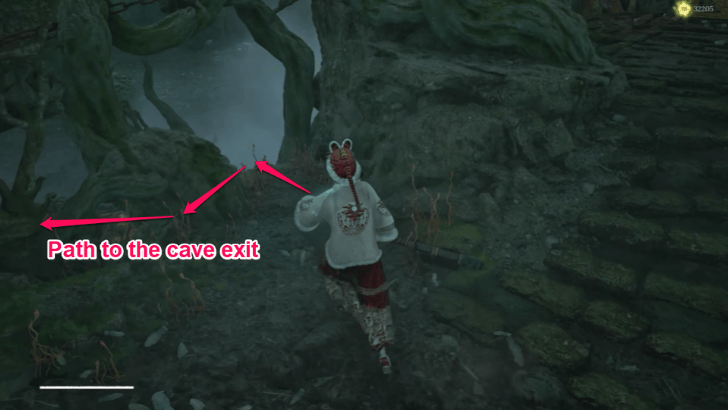 Avian Marsh Bridge Path