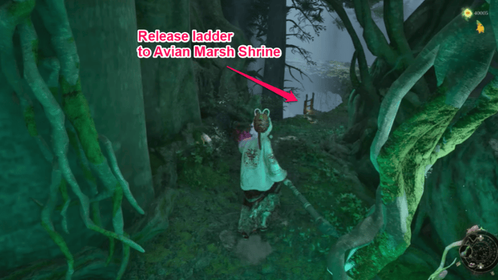 Avian Marsh Release Ladder