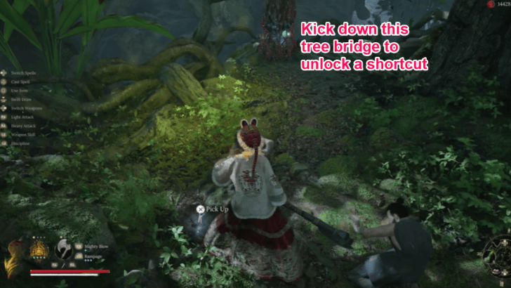 Avian Marsh Tree Bridge 2