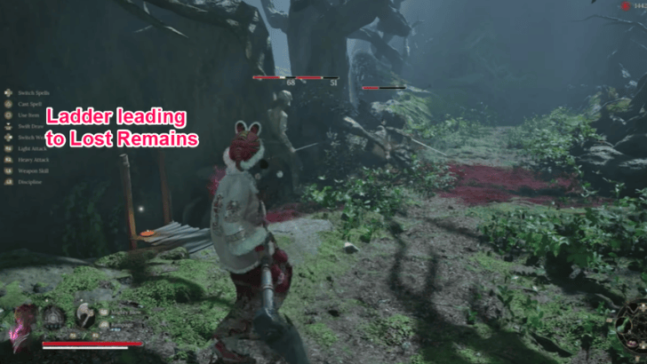 Avian Marsh Lost Remains