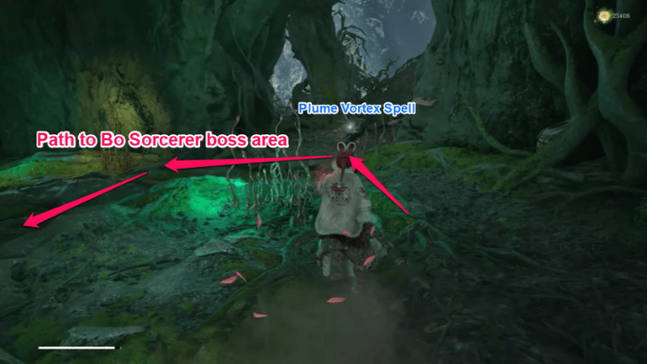 Plume Vortex Location