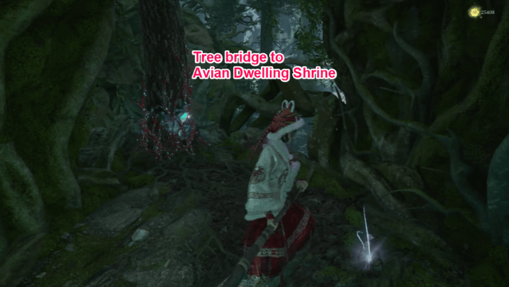 Avian Dwelling Tree Bridge