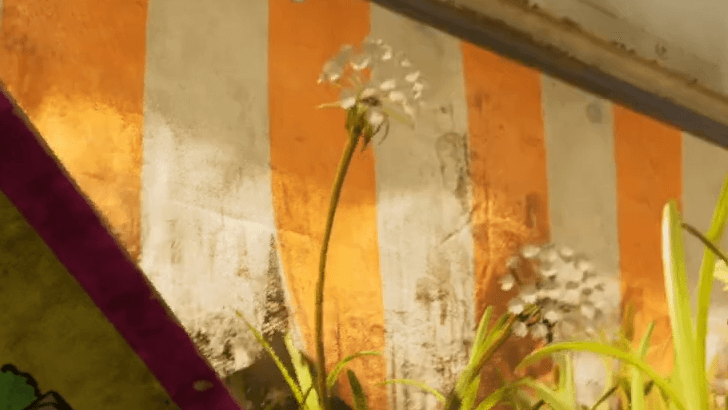 Dandelion Zoomed Out