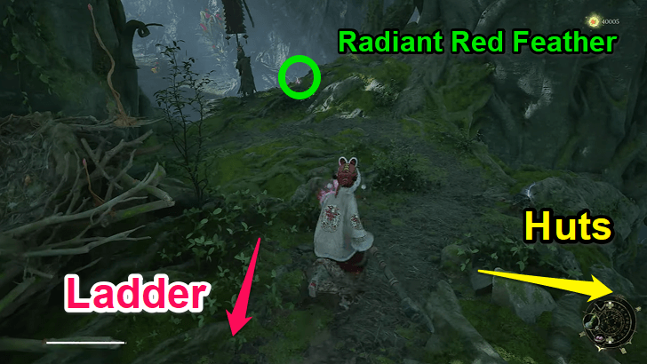 Avian Marsh - Radiant Red Feather 3