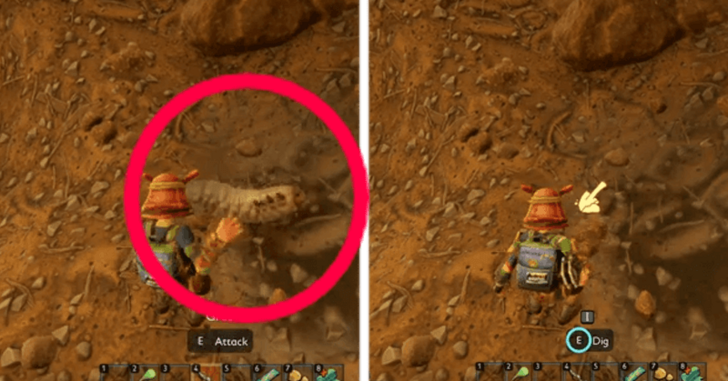 Grub before and after unearthing