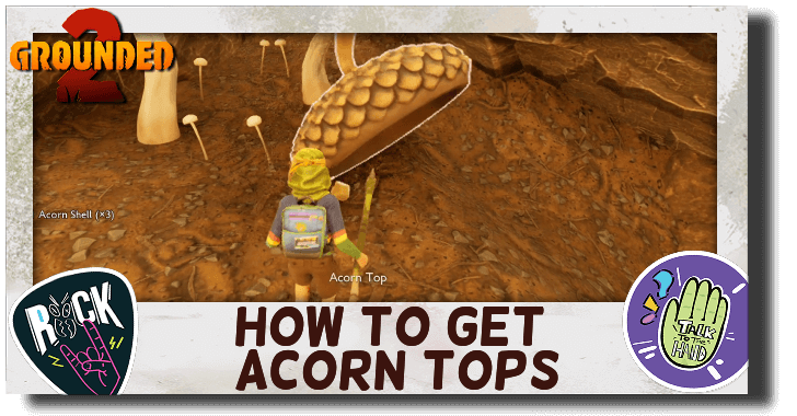 How to Get Acorn Tops