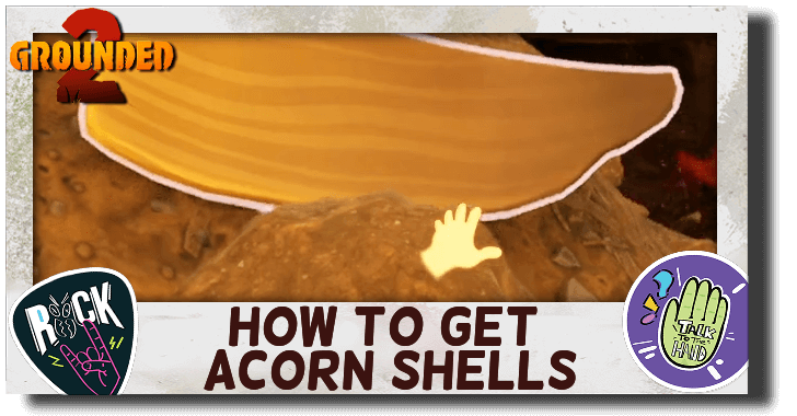 How to Get Acorn Shells