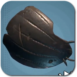 Grounded 2 - Weevil Shield