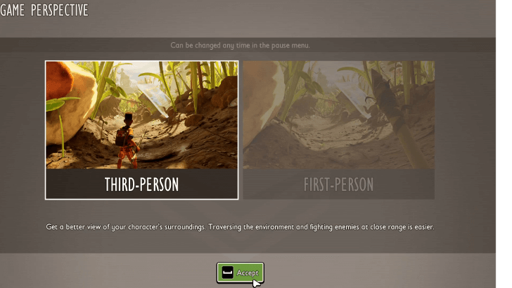 Third or First Person POV.png