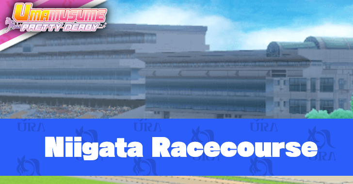Umamusume Pretty Derby - Niigata