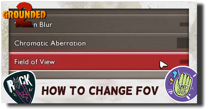 How to Change Field of View