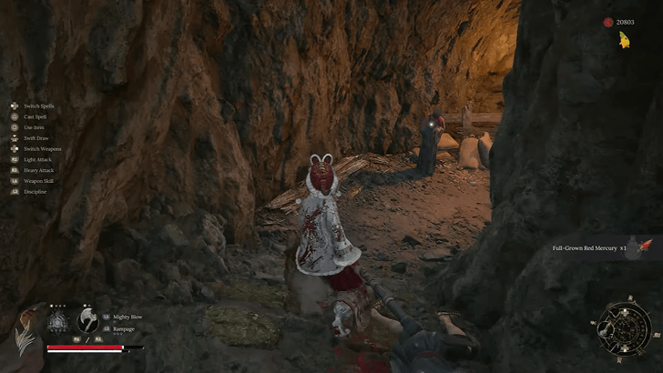 Avian Marsh - Initial Location Buglio