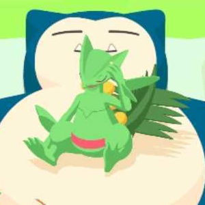 Pokemon Sleep - Atop-Belly Sleep