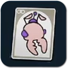 O.R.C. Red Soldier Ant