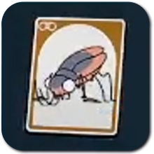 Cockroach