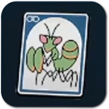 Praying Mantis Nymph