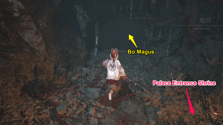 Bo Magus Location