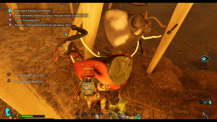 Ladybug Decapitated Head