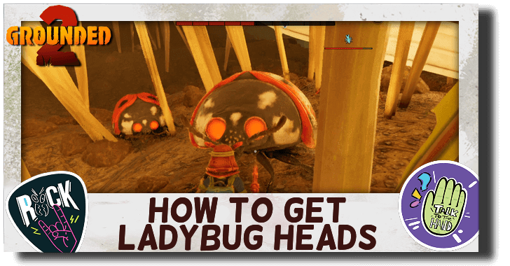 Ladybug Heads