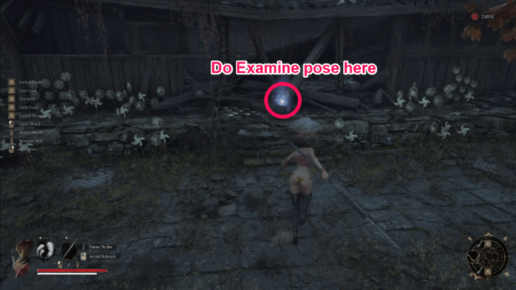 Broken Belled Pinwheel Location