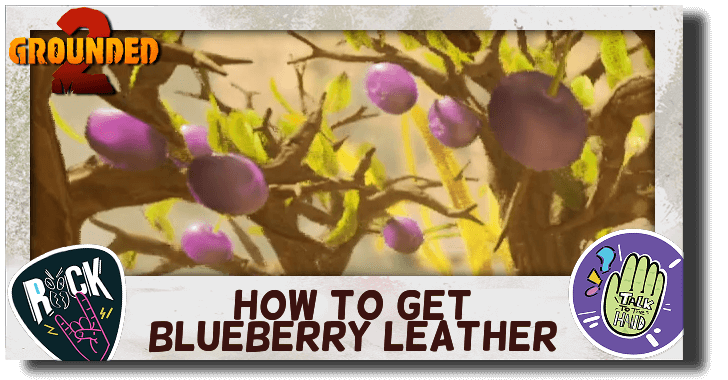 How to Get Blueberry Leather