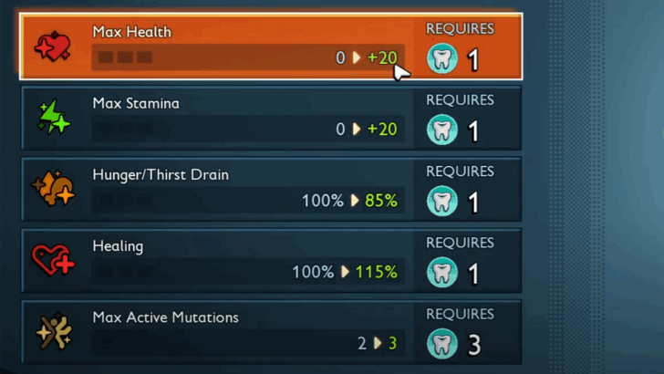 What Are Milk Molars