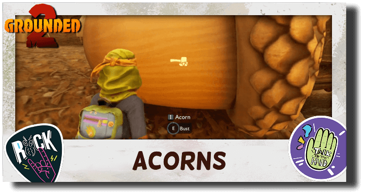 Grounded 2 Acorns Locations