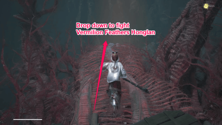 Vermilion Feathers Honglan Location