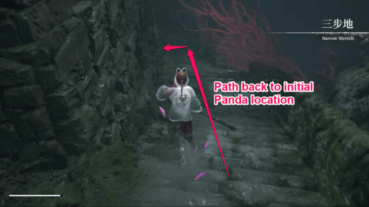 Panda Cave Narrow Stretch