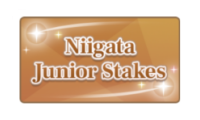 Niigata Junior Stakes