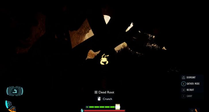 Dead Root Blockade 2