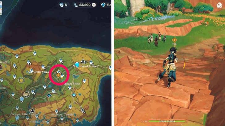 Meet Up With Caravan Members