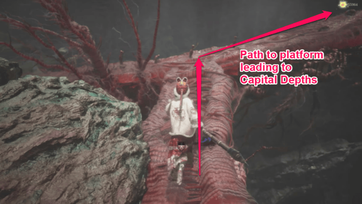 Capital Entrance Capital Depths Platform