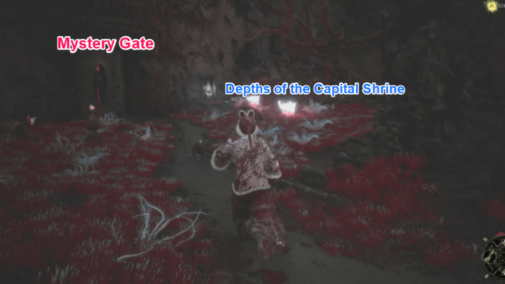 Depths of the Capital Mystery Gate