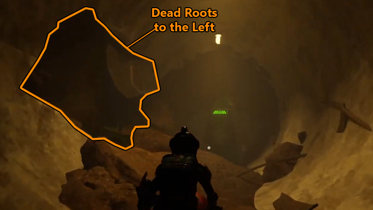 Dead Roots Near Locked Door