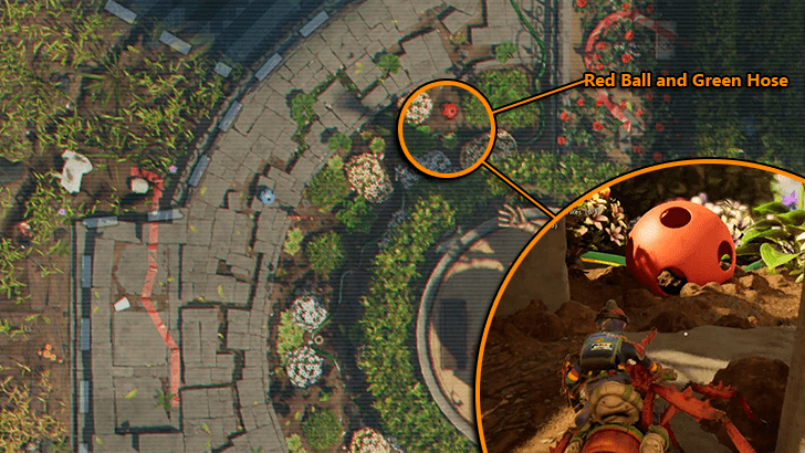 Red Ball and Green Hose