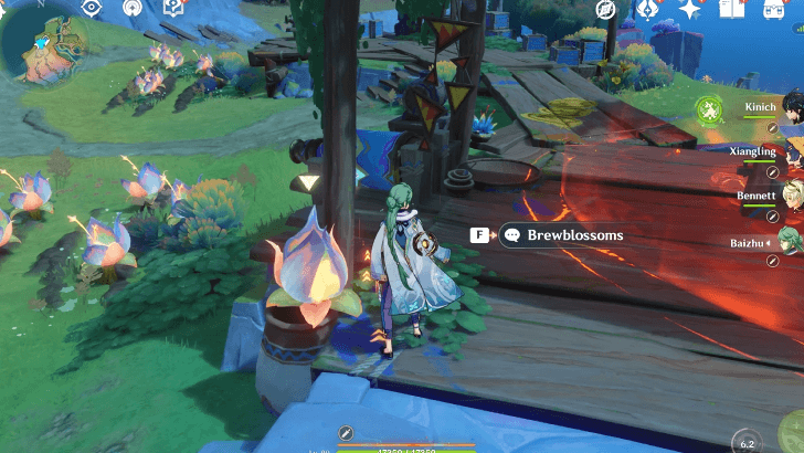 Genshin - Interact With the Brewblossom