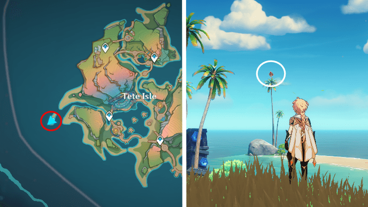 Genshin Impact - Pyroculus