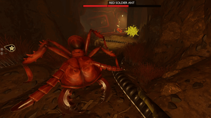 Red Soldier Ants Drop Acid Glands