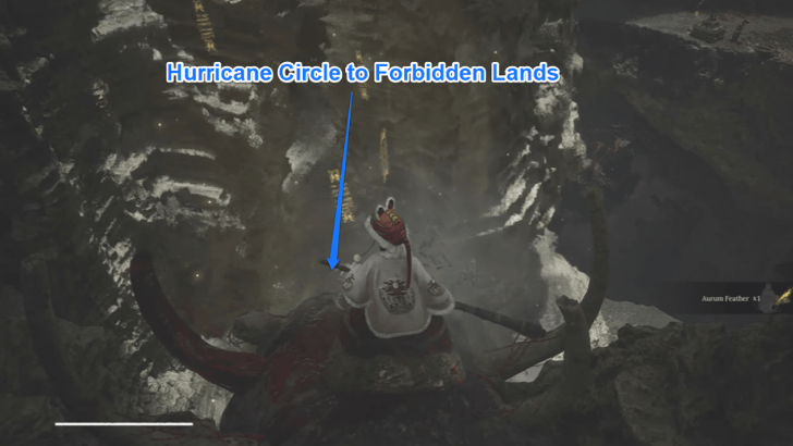 Capital Depths Hurricane Circle