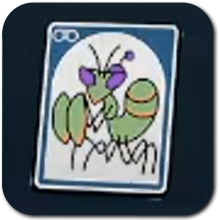 O.R.C. Praying Mantis Nymph