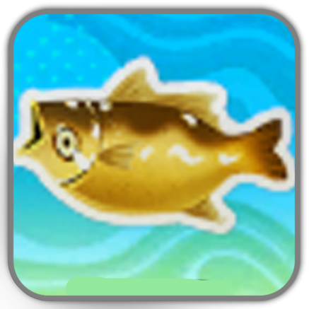 Black-Gold Large Yellow Croaker