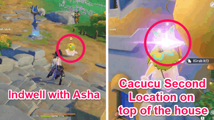 Cacucu Hide-and-Seek Location 2