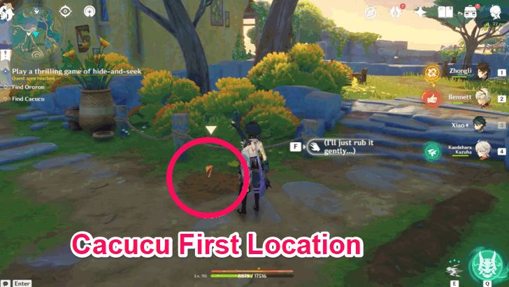 Cacucu Hide-and-Seek Location 1