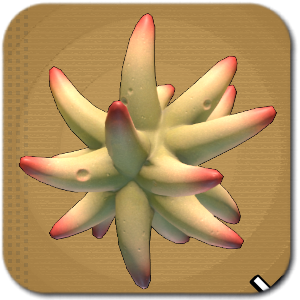 Grounded 2 - Pointy Rounds