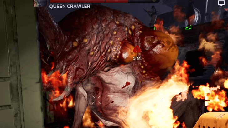 Queen Crawler Hind Weakspot