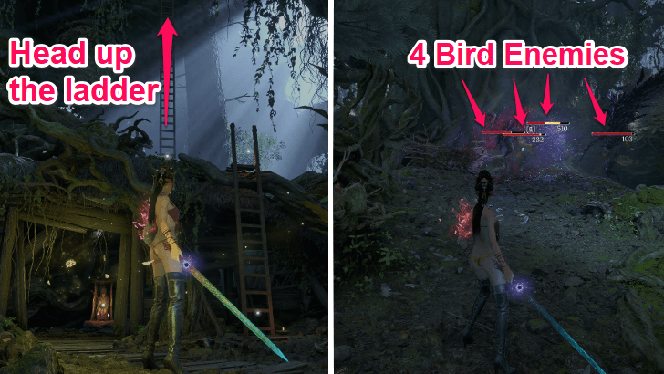 Wuchang Avian Marsh Red Mercury Farm