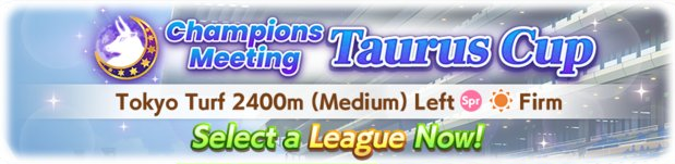 Champions Meeting Taurus Cup Banner